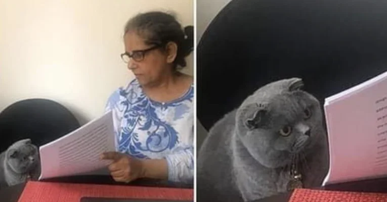 Episode 2: I Was a Junior Developer and I Must Be Stopped