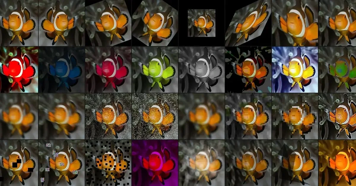 Designing Image Augmentation Pipelines for Generalization